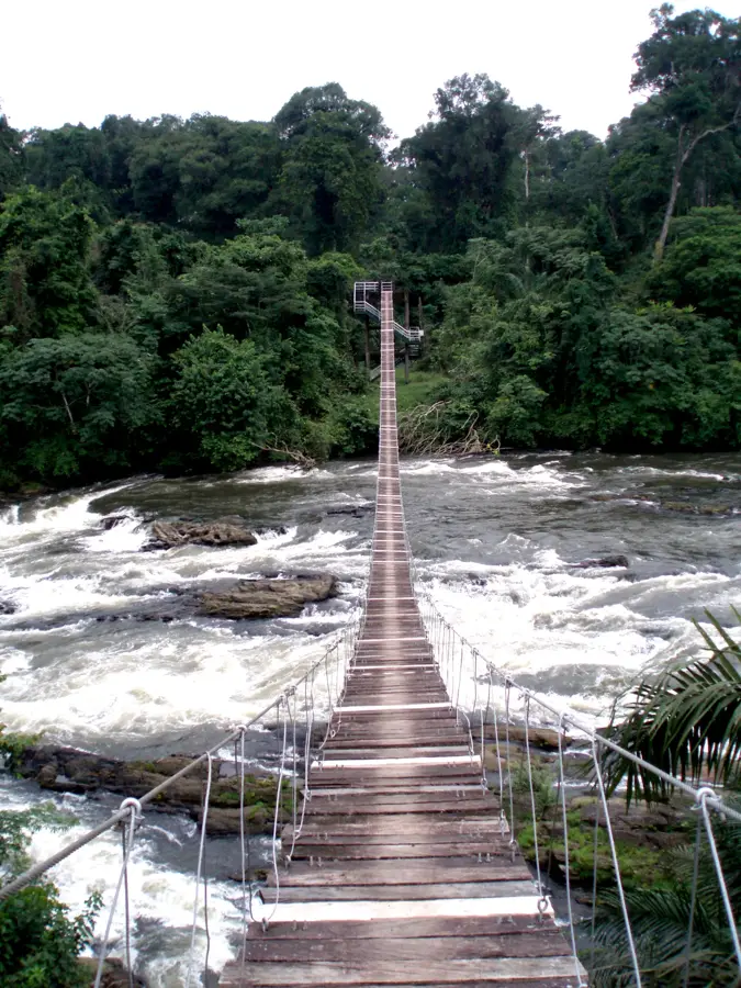 Korup National Park — Mount Cameroon (Cameroon)