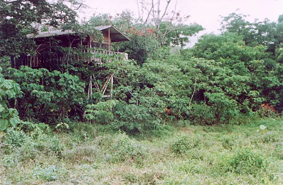 Lobéké Nemzeti Park — Garoua-Boulaï (Kamerun)