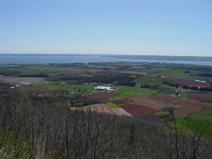 Bay of Fundy — Quebec Maple Syrup (Canada)