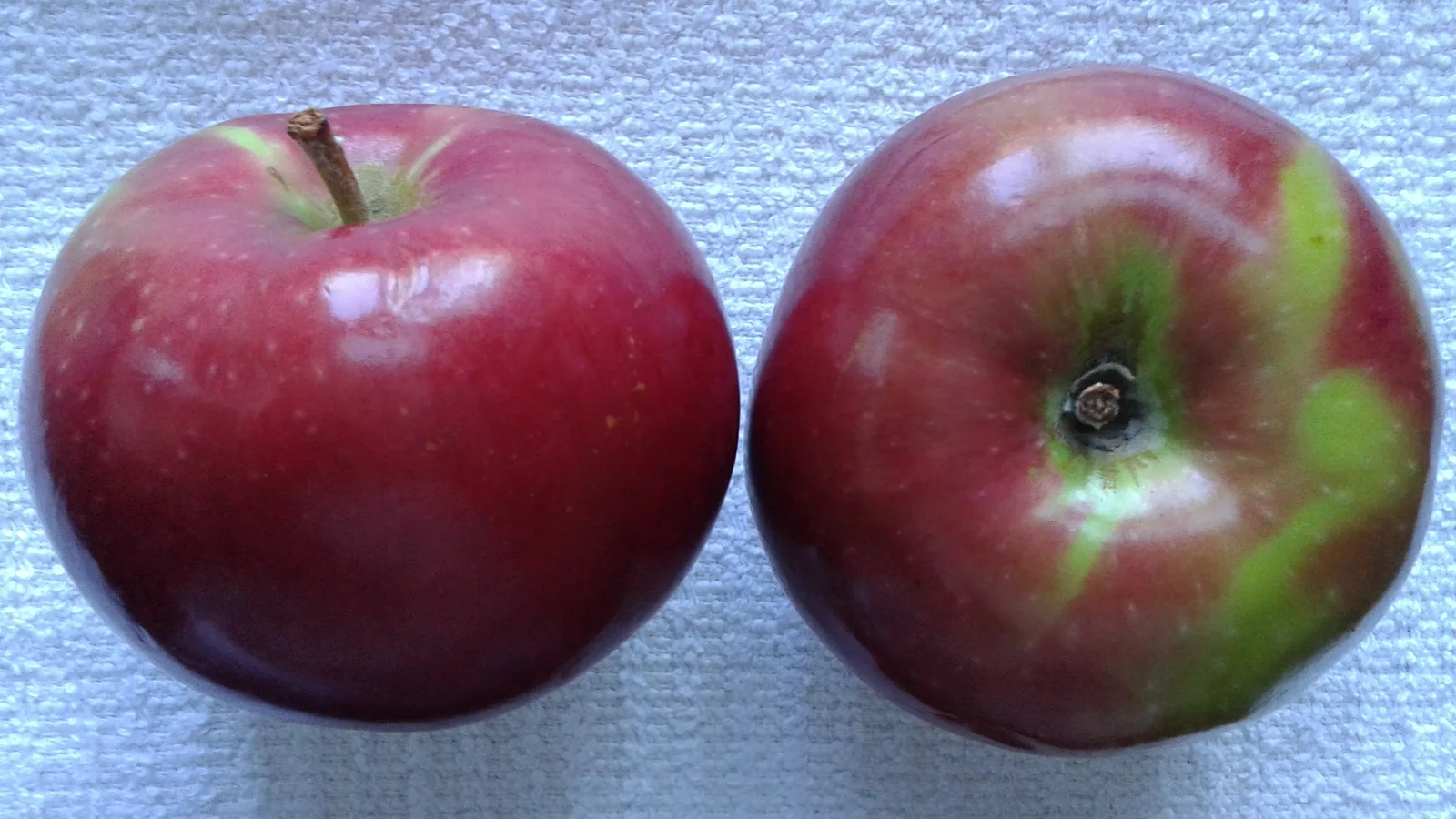 Apple River