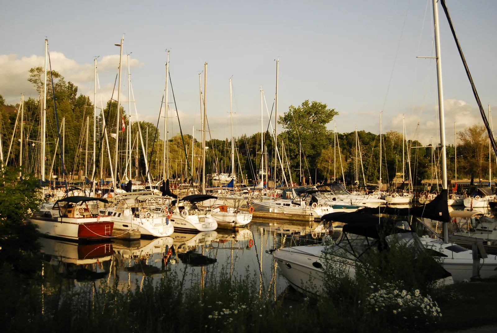 Bayfield