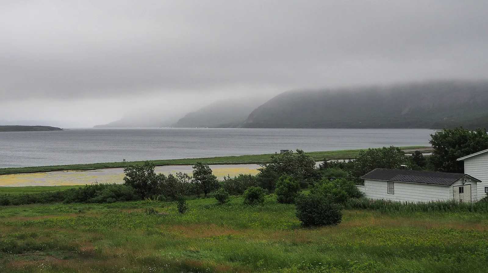 Lark Harbour
