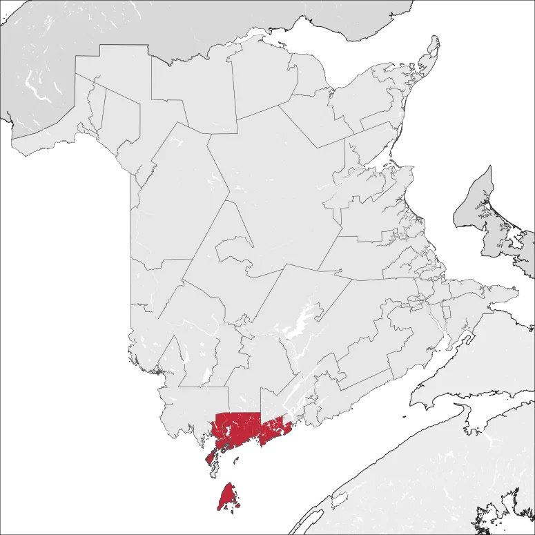Lorneville