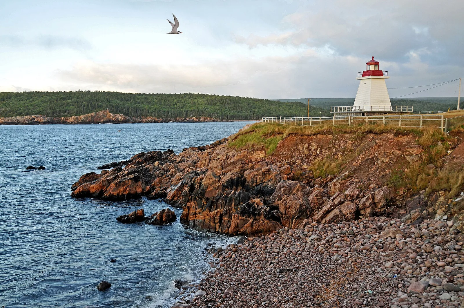 Neils Harbour