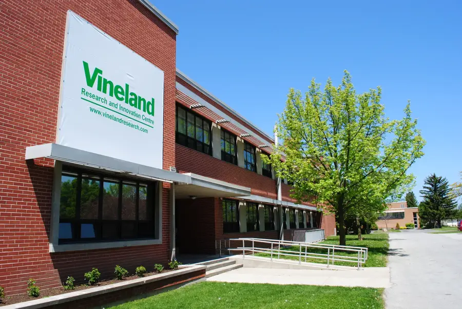 Niagara wine region (Beamsville/Vineland)