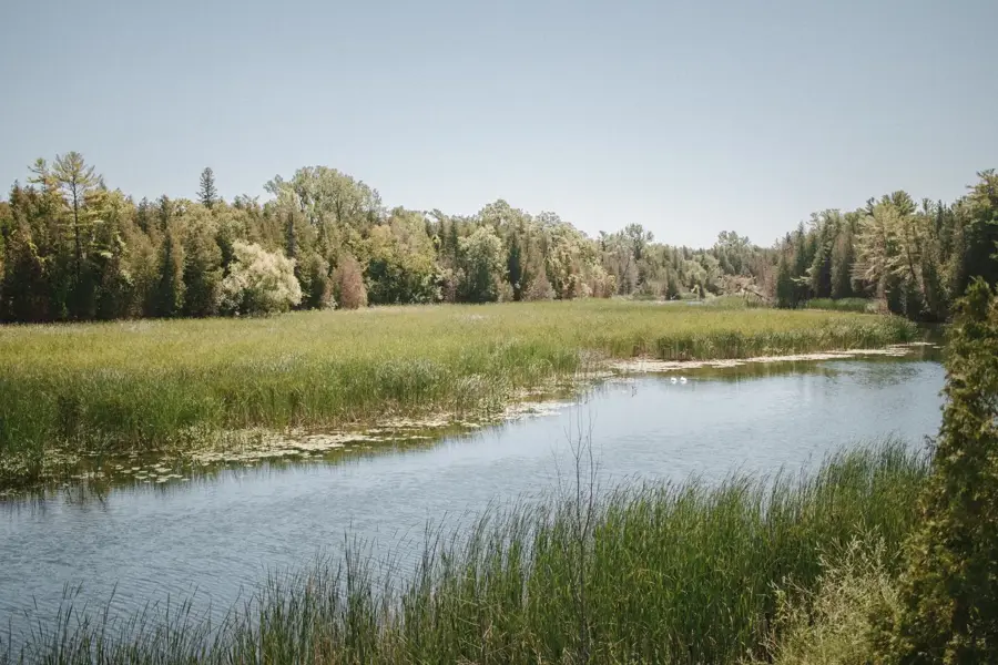 Prince Edward County