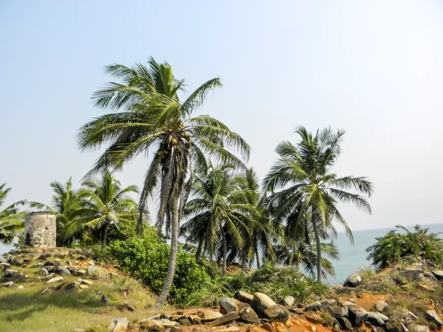 Cape Three Points (Ghana)