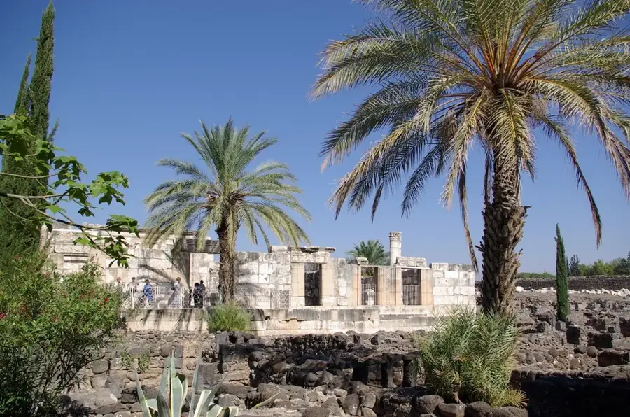 Capernaum — Bint Jbeil (Liban)