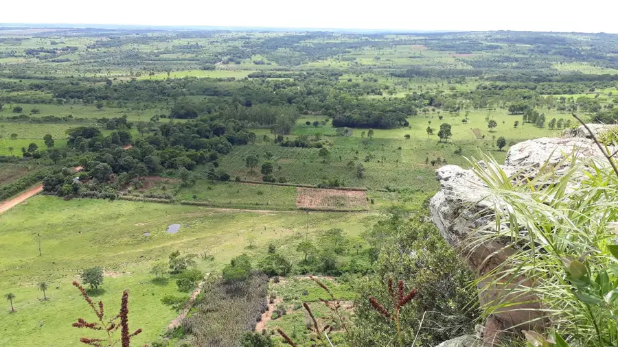 Capiibary (Paraguay)