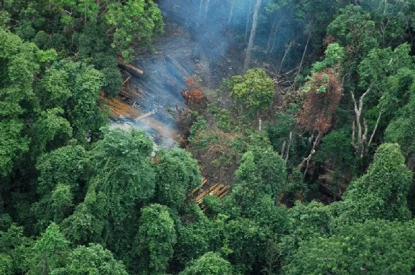 Kardamom-Gebirge — Koh Kong (Kambodscha)