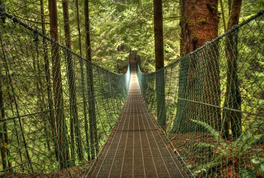 Carmanah Walbran Provincial Park Wald (Kanada)