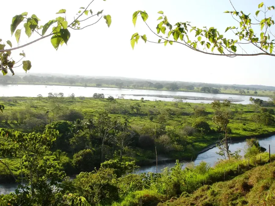 Caucasia