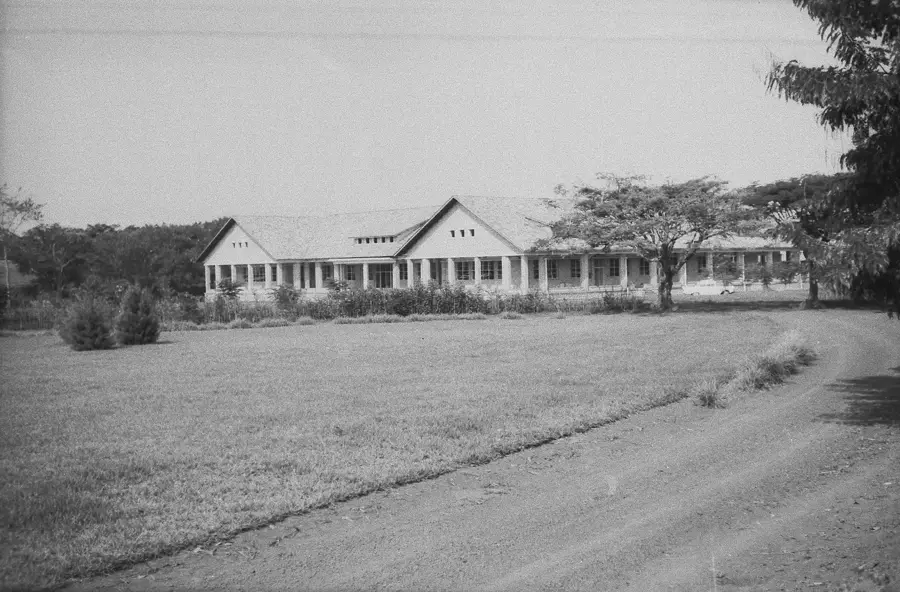 Bambesa