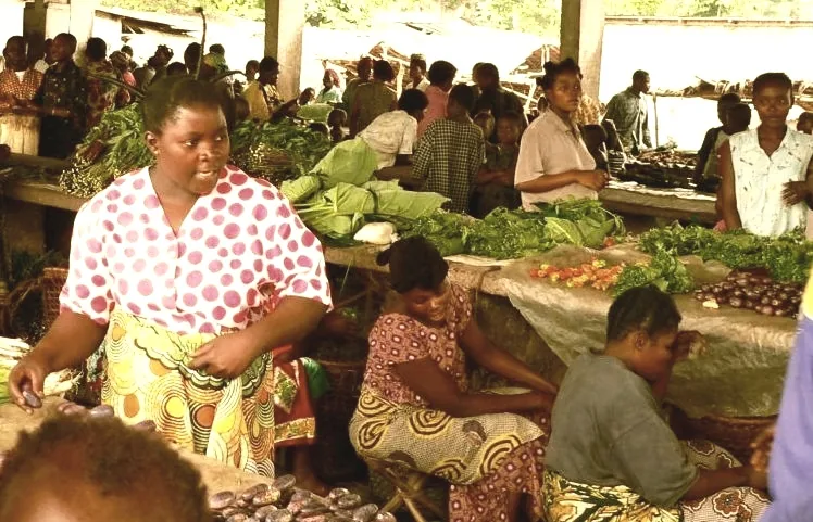 Basankusu
