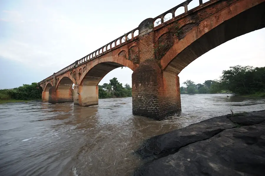 Dungu