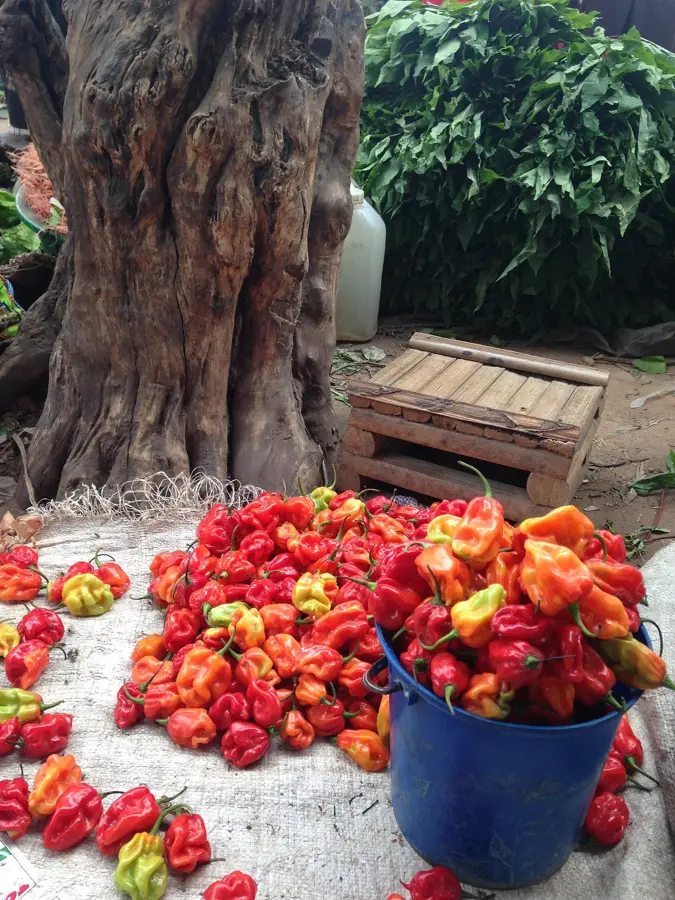 Kamina (Congo - Kinshasa)