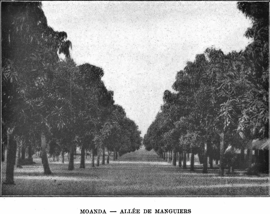 Muanda