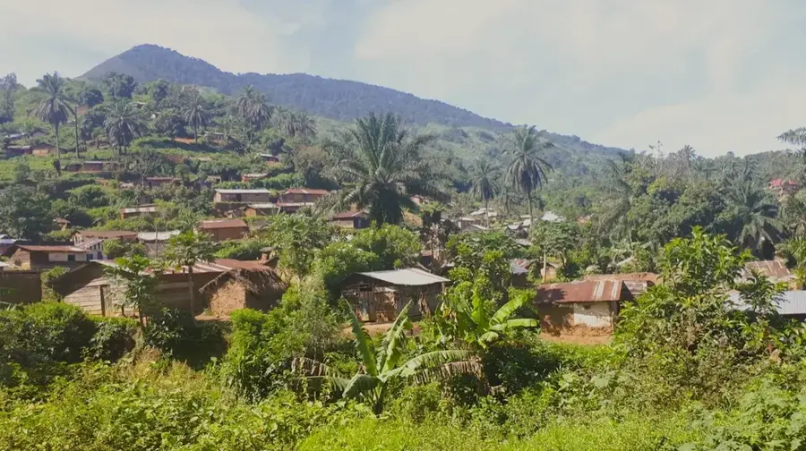 Mwenga