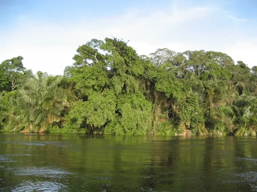 Alima — Boundji (Kongó – Brazzaville)