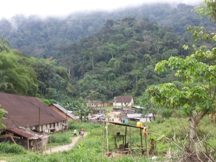 Dimonika Bioszféra-rezervátum — Dolisie (Kongó – Brazzaville)