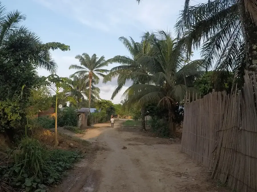 Impfondo