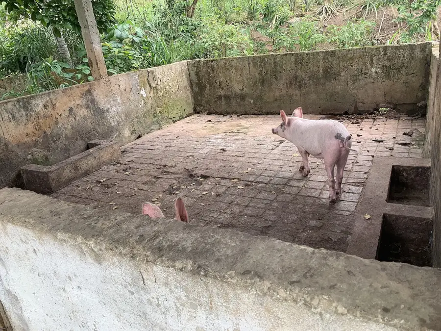 Linzolo Catholic Mission — Kindamba Mission Station (Congo - Brazzaville)