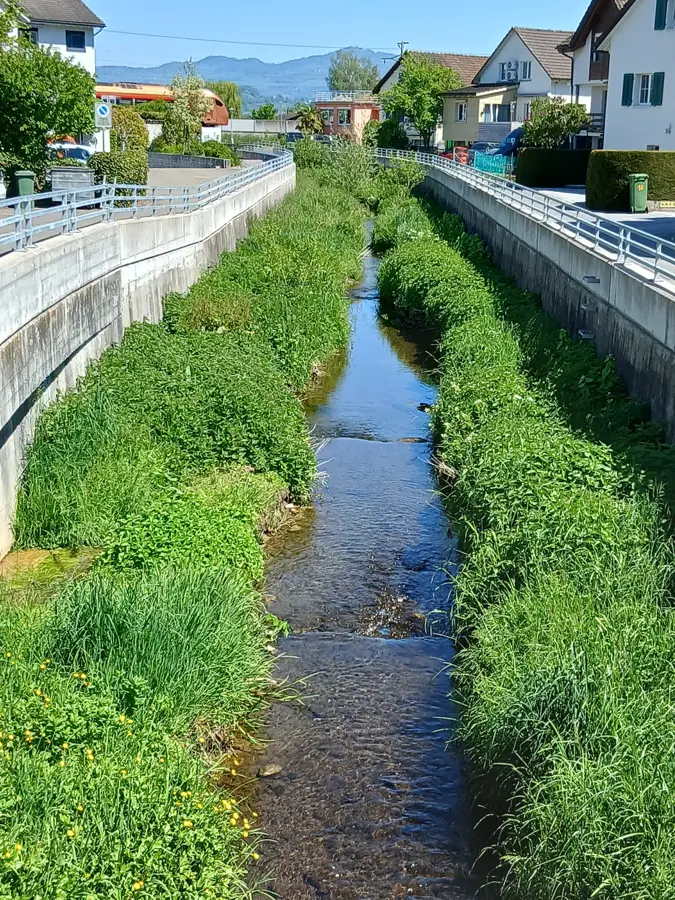 Freienbach