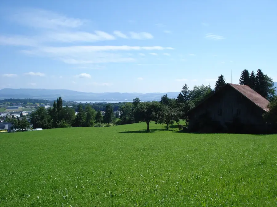 Steinhausen