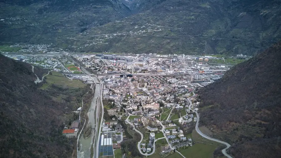 Visp — Fermă de Vite Buuhoodle (Somalia)