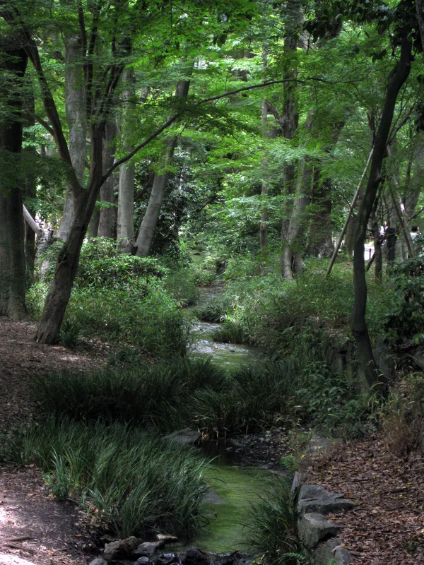 Wildtierreservat-Jinja — Naâma (Algerien)