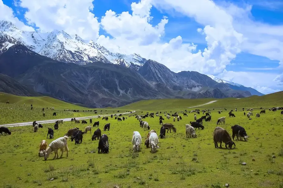 Chitral-Gol-Nationalpark — Takht-i-Bahi (Pakistan)
