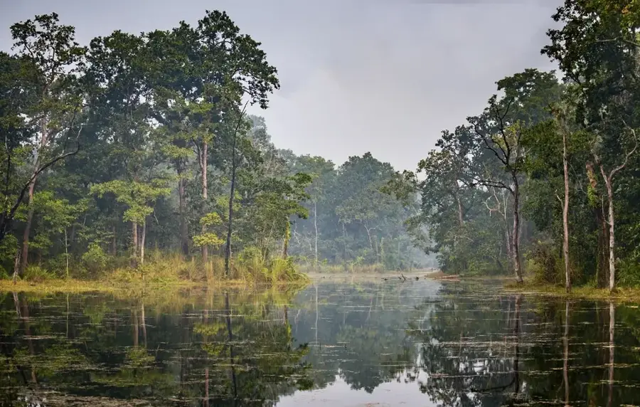 Chitwan-Nationalpark