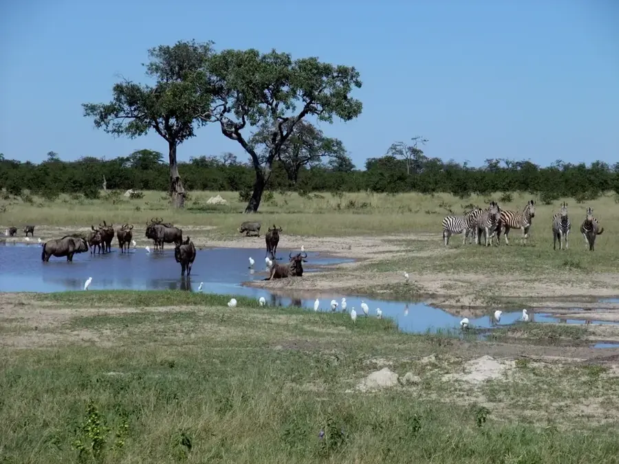 Chobe Nemzeti Park