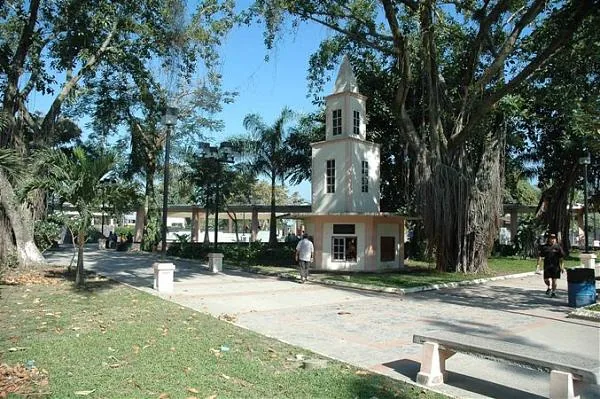 Choloma