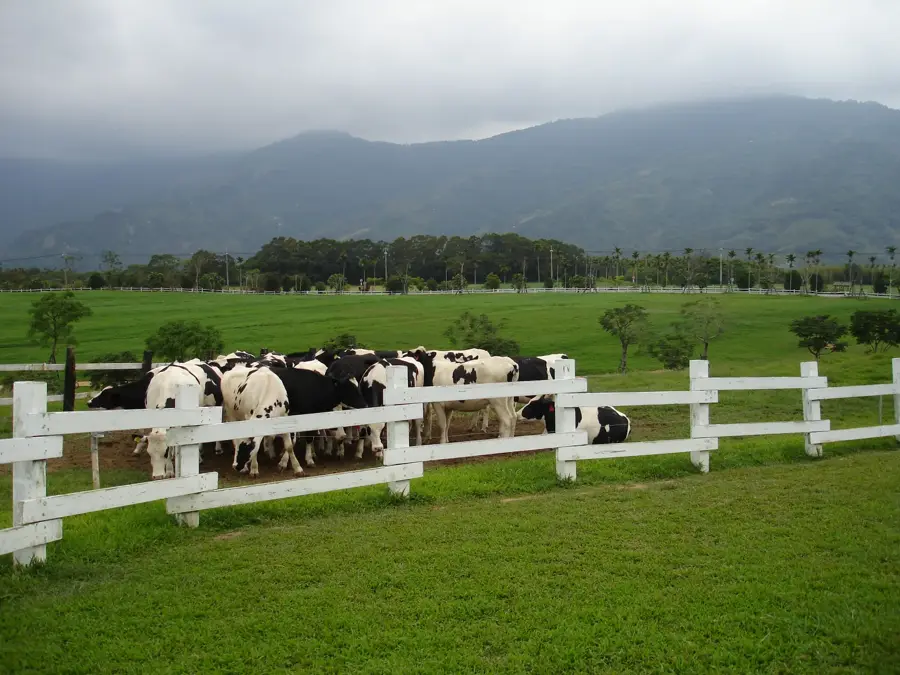 Chulu-Ranch — Taitung (Taiwan)