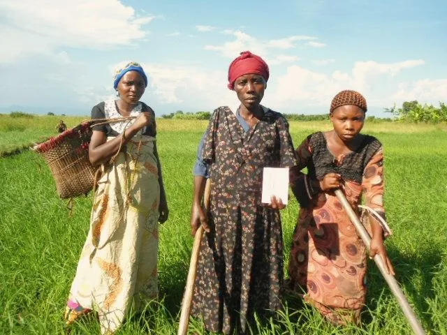 Câmpurile de bumbac din Cibitoke — Lacul Dogodogo (Burundi)