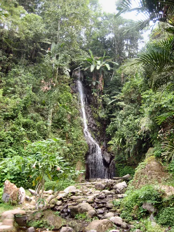 Botanischer Garten Cibodas — Tasikmalaya (Indonesien)