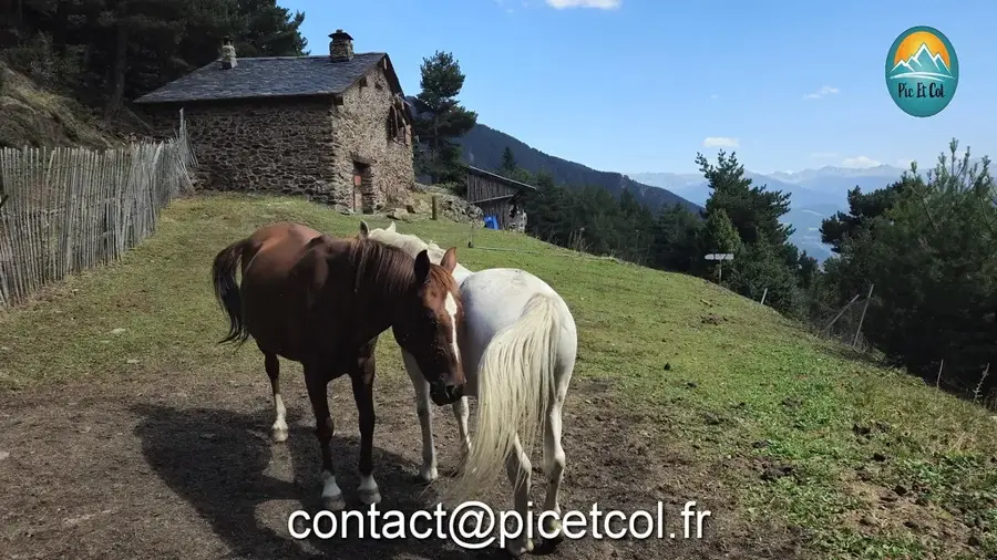 Coma Pedrosa alaptábor — Pal (Andorra)