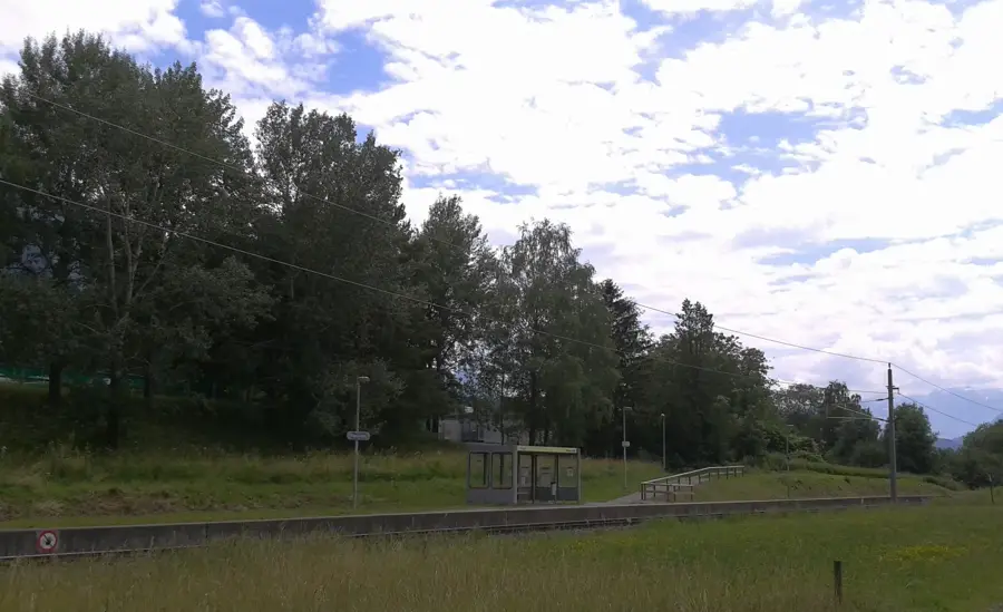 Forst