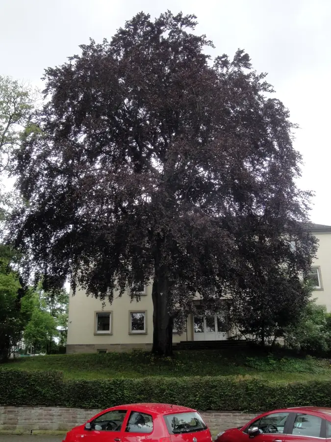 Kassel — Edersee (Germany)