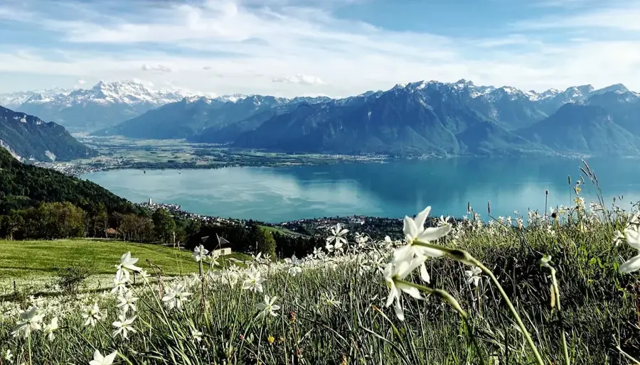 Montreux — Sion (Elveția)