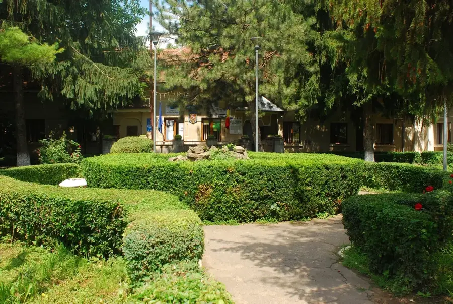 Pogoanele – oraș