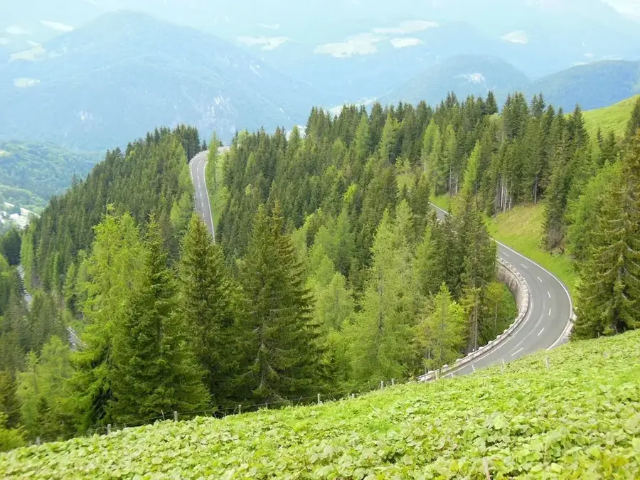 Rossfeld — Bardella (Liechtenstein)