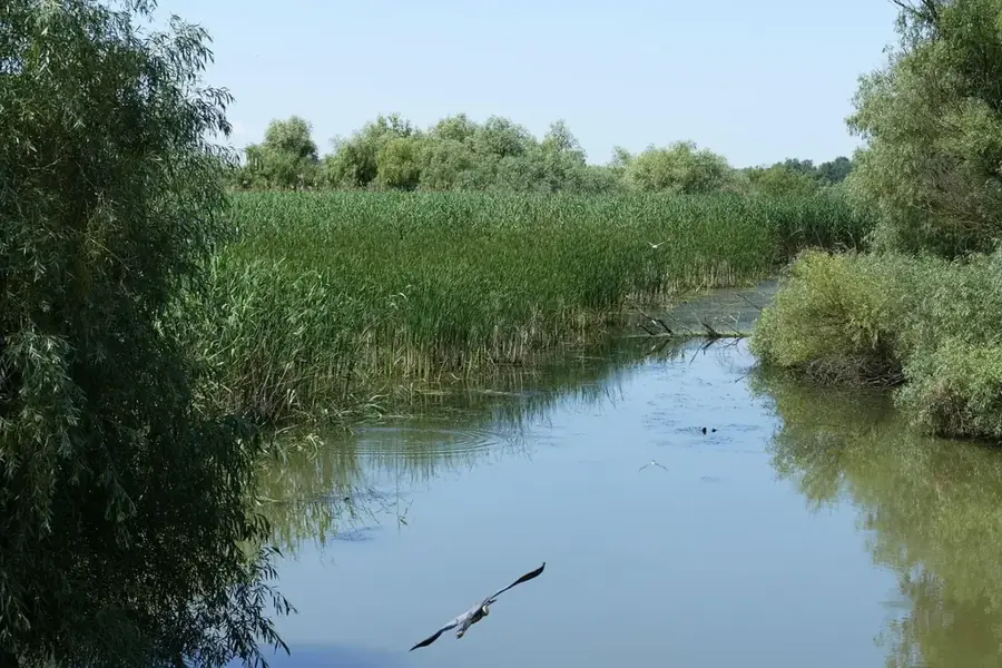 Tulcea – oraș