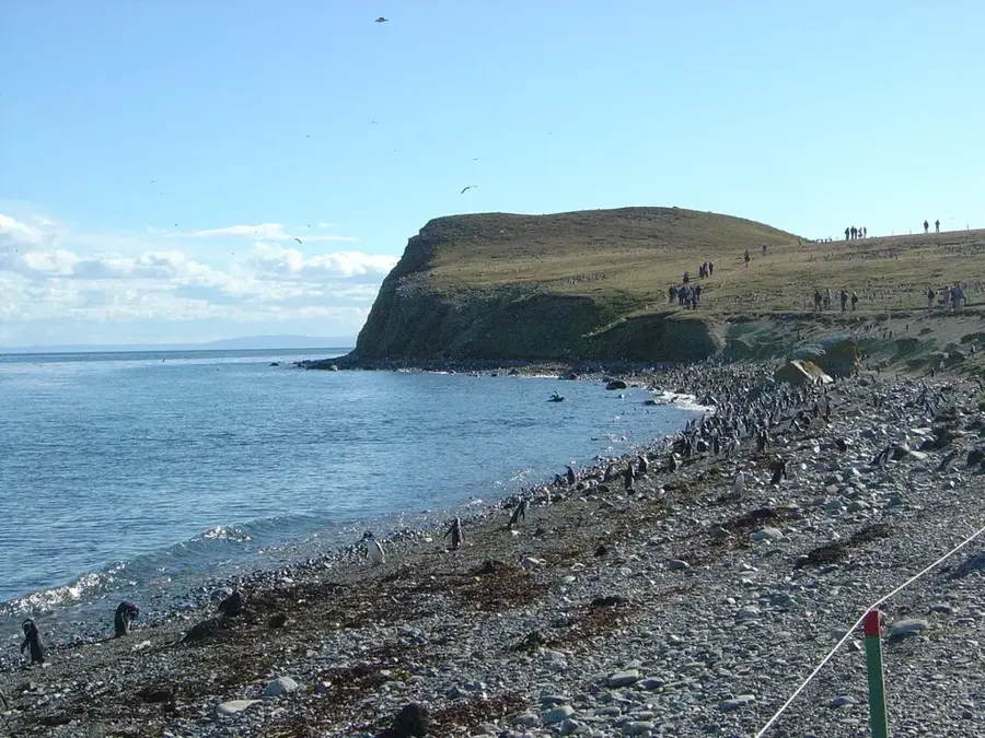 Monumento Natural Los Pingüinos — Parque Nacional Bernardo O'Higgins (Chile)