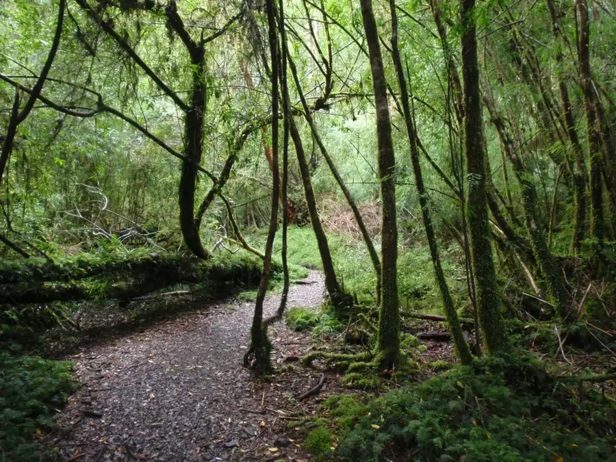 Alerce Andino Nemzeti Park — Achao Templom (Chile)