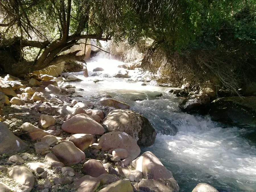 Santuario de la Naturaleza Yerba Loca — Aconcagua (Argentinien)