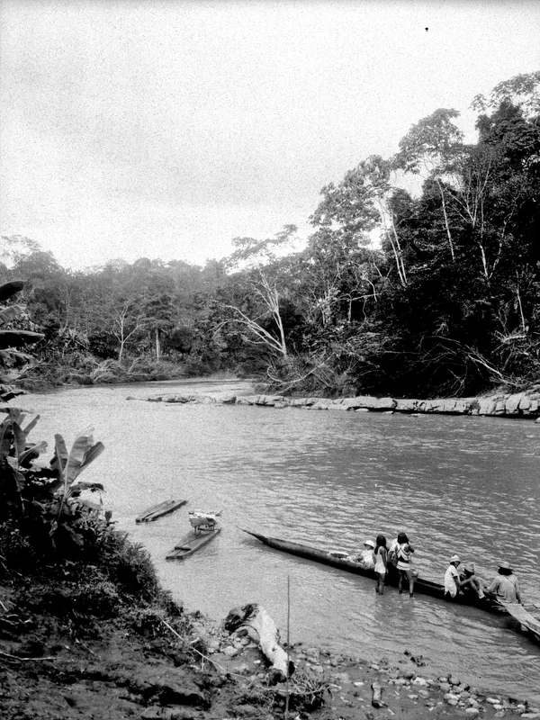 Serranía del Baudó — Quibdó (Columbia)