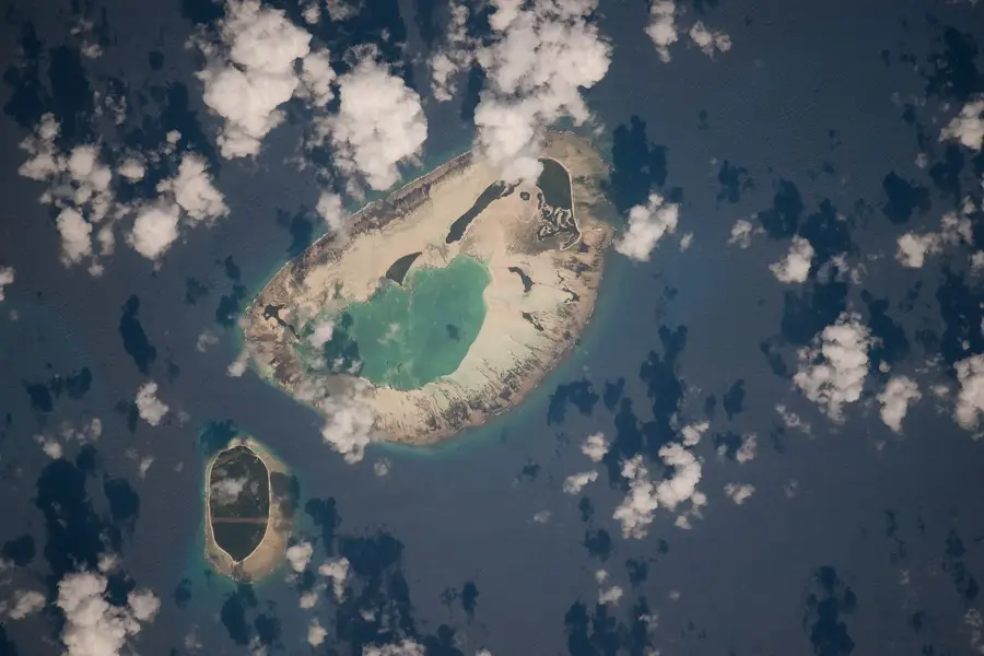 Kokosnussplantage auf D'Arros — Desroches-Insel (Seychellen)