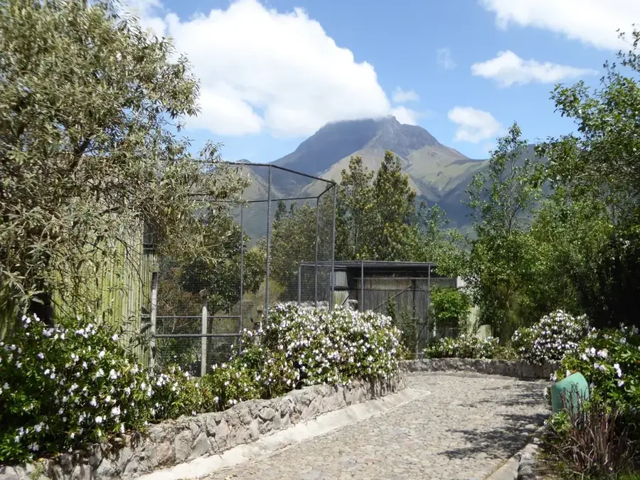 Parque Cóndor — Awá esőerdő (Ecuador)